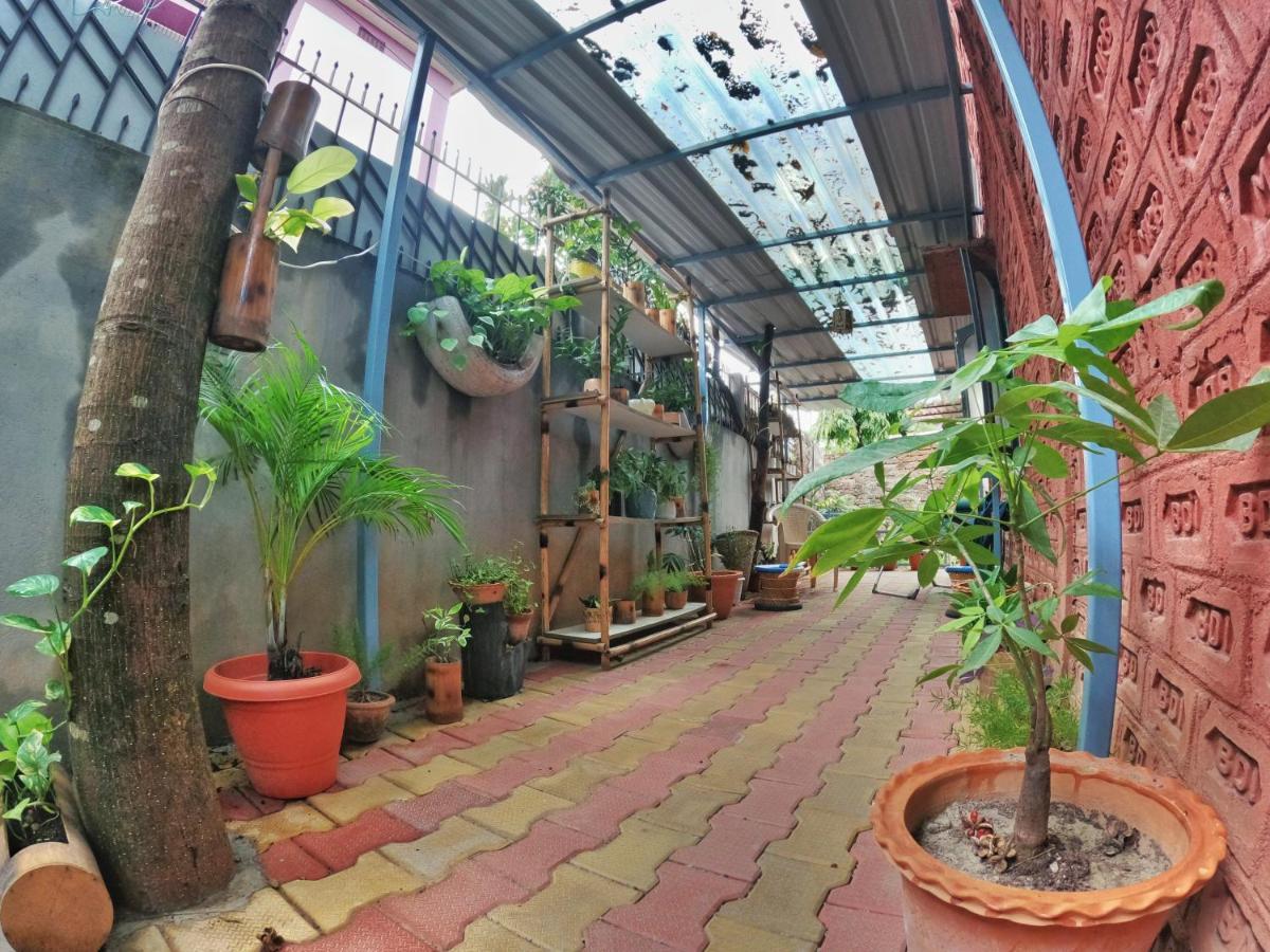 Stargaze Backpackers Hostel Γουβαχάτι Εξωτερικό φωτογραφία