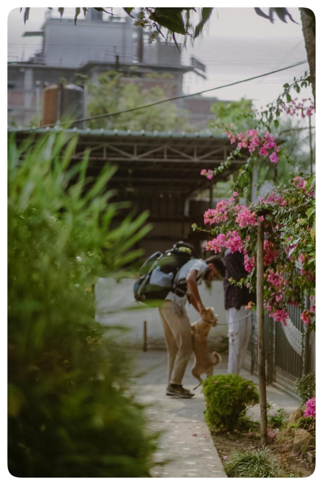 Stargaze Backpackers Hostel Γουβαχάτι Εξωτερικό φωτογραφία
